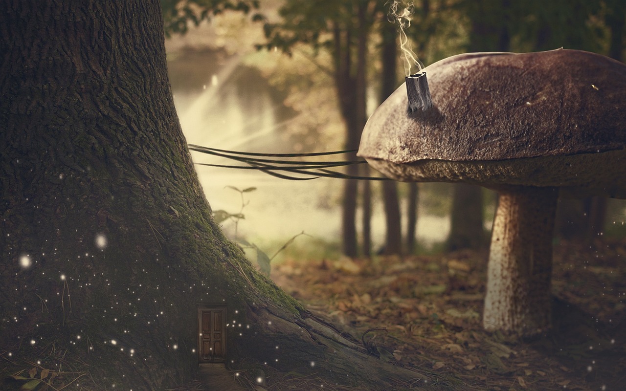 她似明媚 第3页