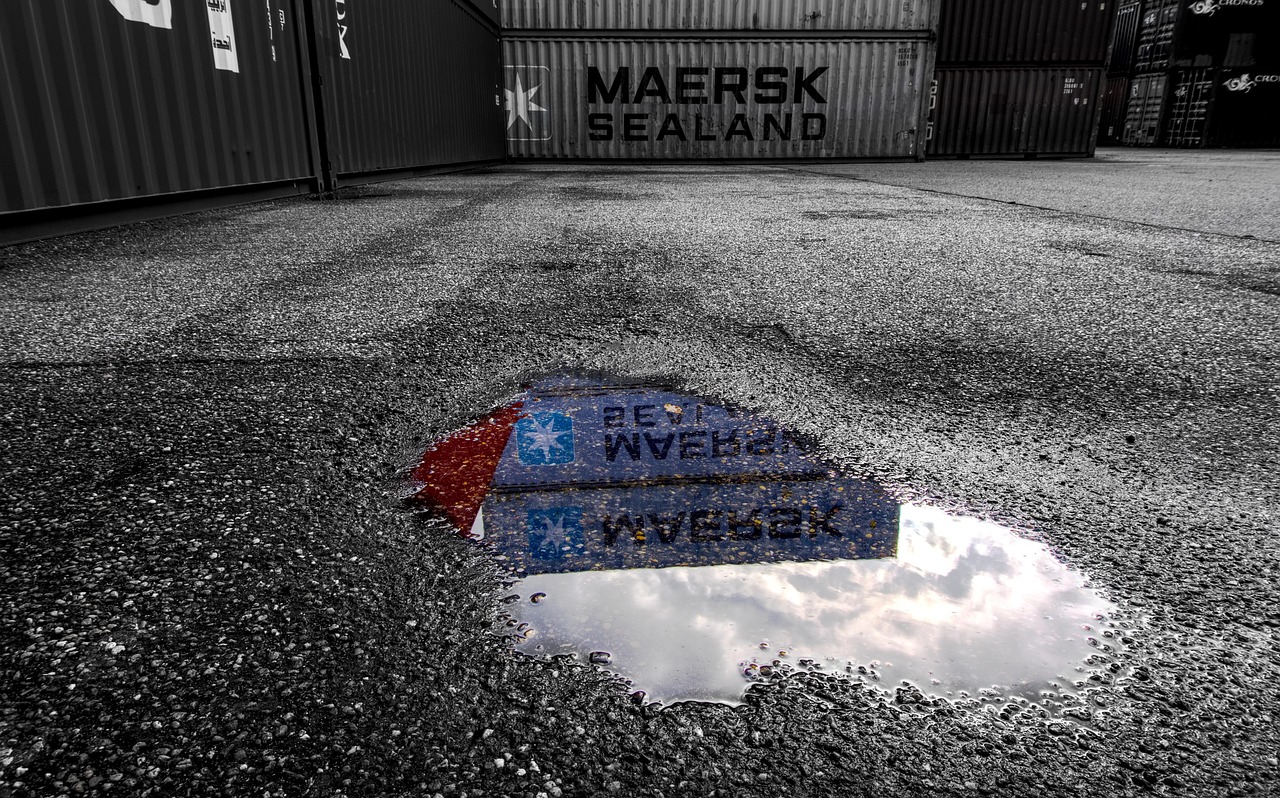 粤港澳最新动态,区域合作迈向新征程