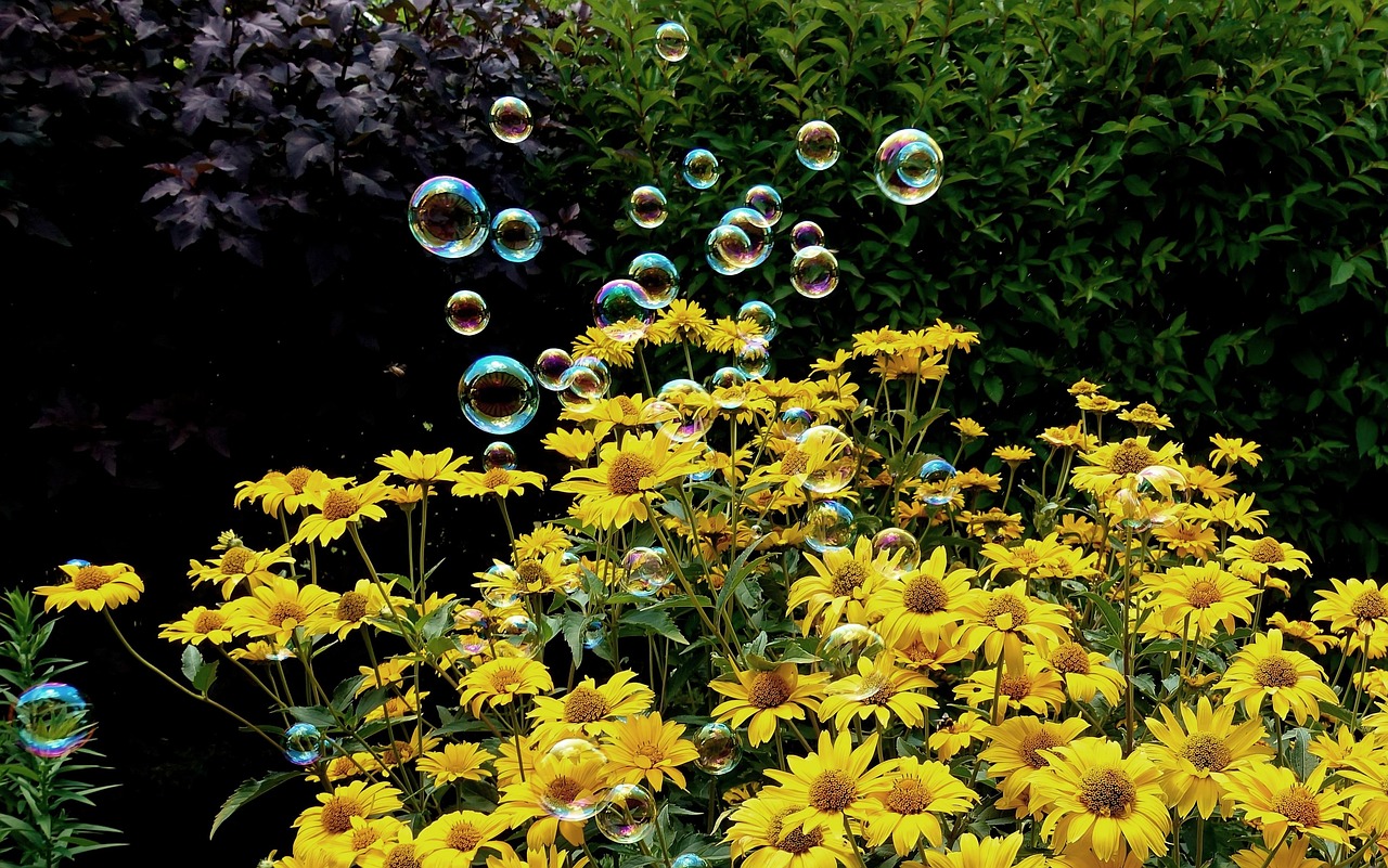 招远兼职信息最新职位全面解析与招聘动态更新