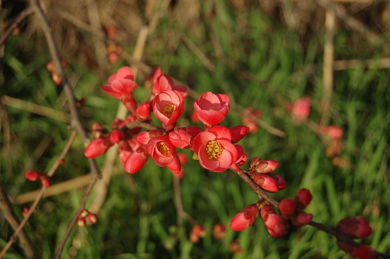 绍兴御和园最新房产价格概览及动态分析