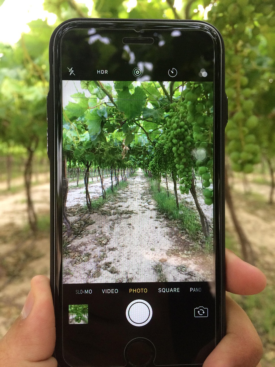 OPPO最新绿色款手机,科技与自然的和谐融合之美