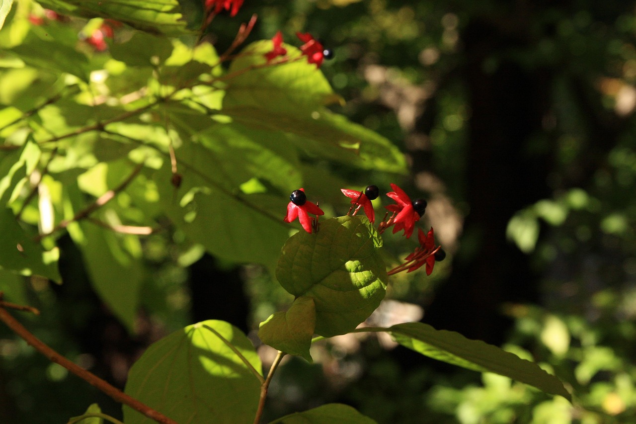 东西湖区最新人事任免信息动态更新速递