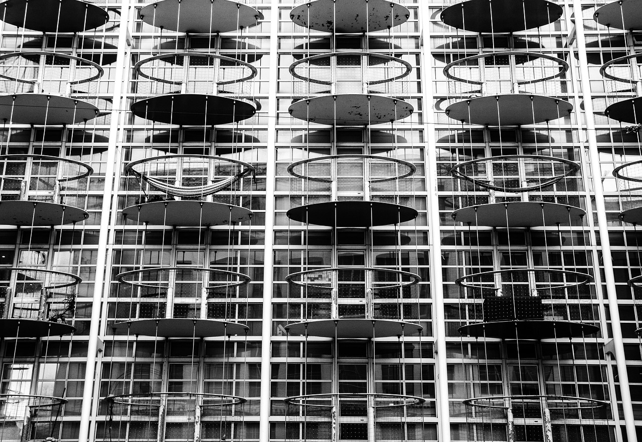 越南沉香价格行情深度解析与趋势预测