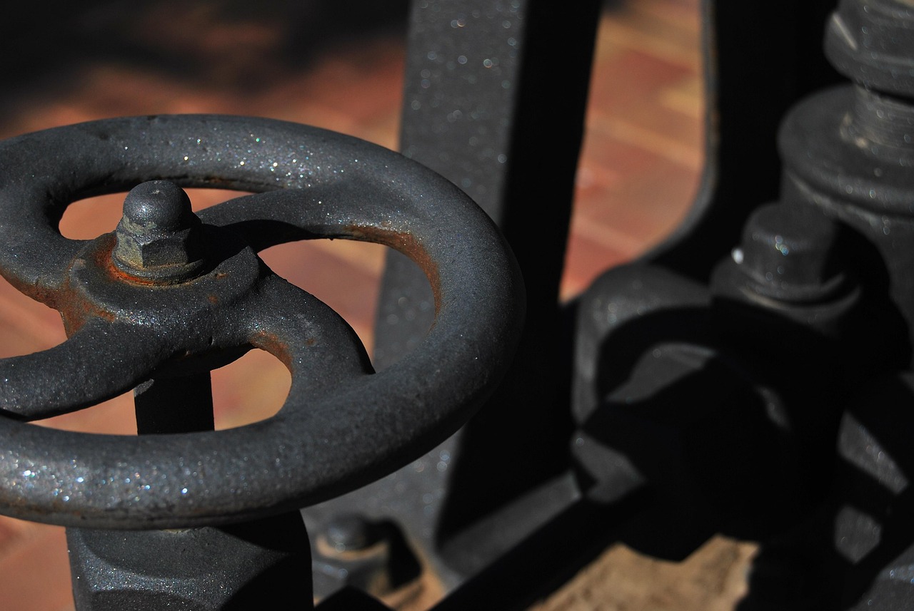 老毕2017最新动态揭秘,事业新篇章与发展动向