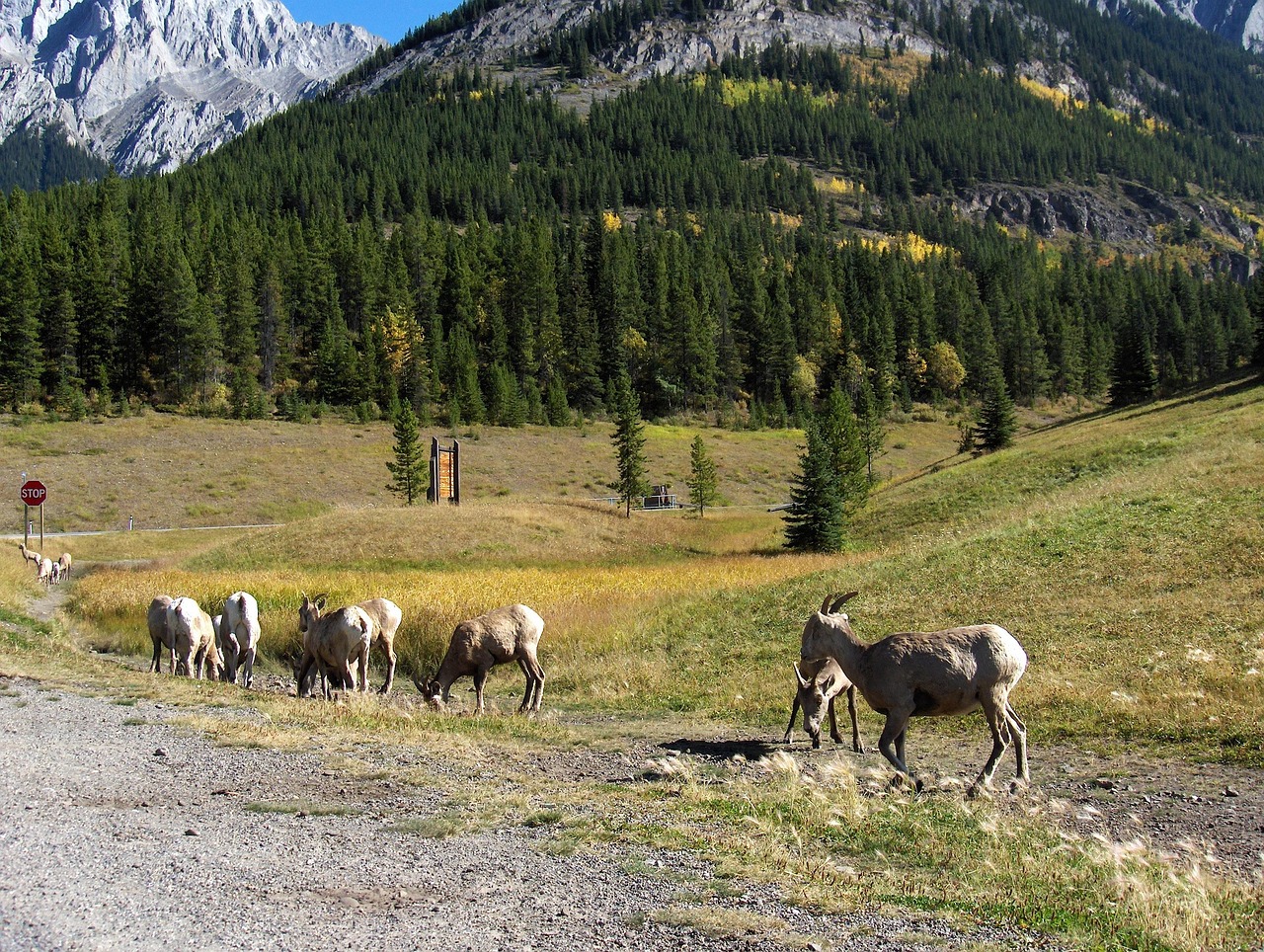 最新高考广东改革动态与实施策略概览