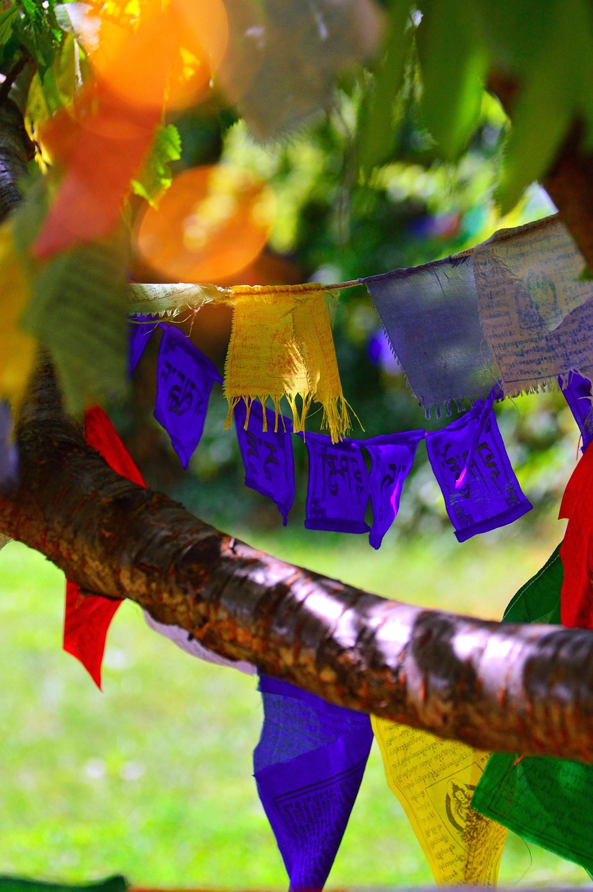 探寻匠心精神,招聘饺子制作人员的最新动态