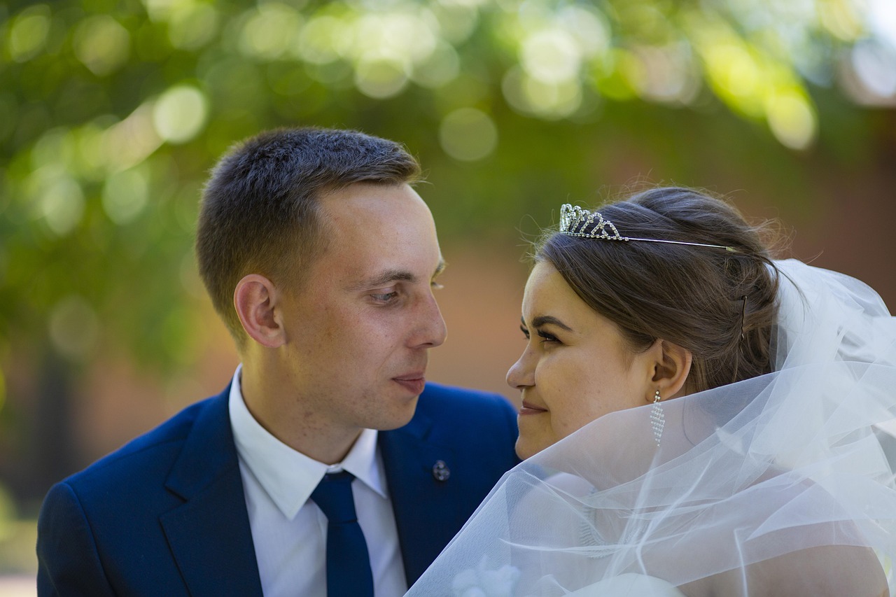 小说夫人最新更新,情感与命运的深度交织之旅