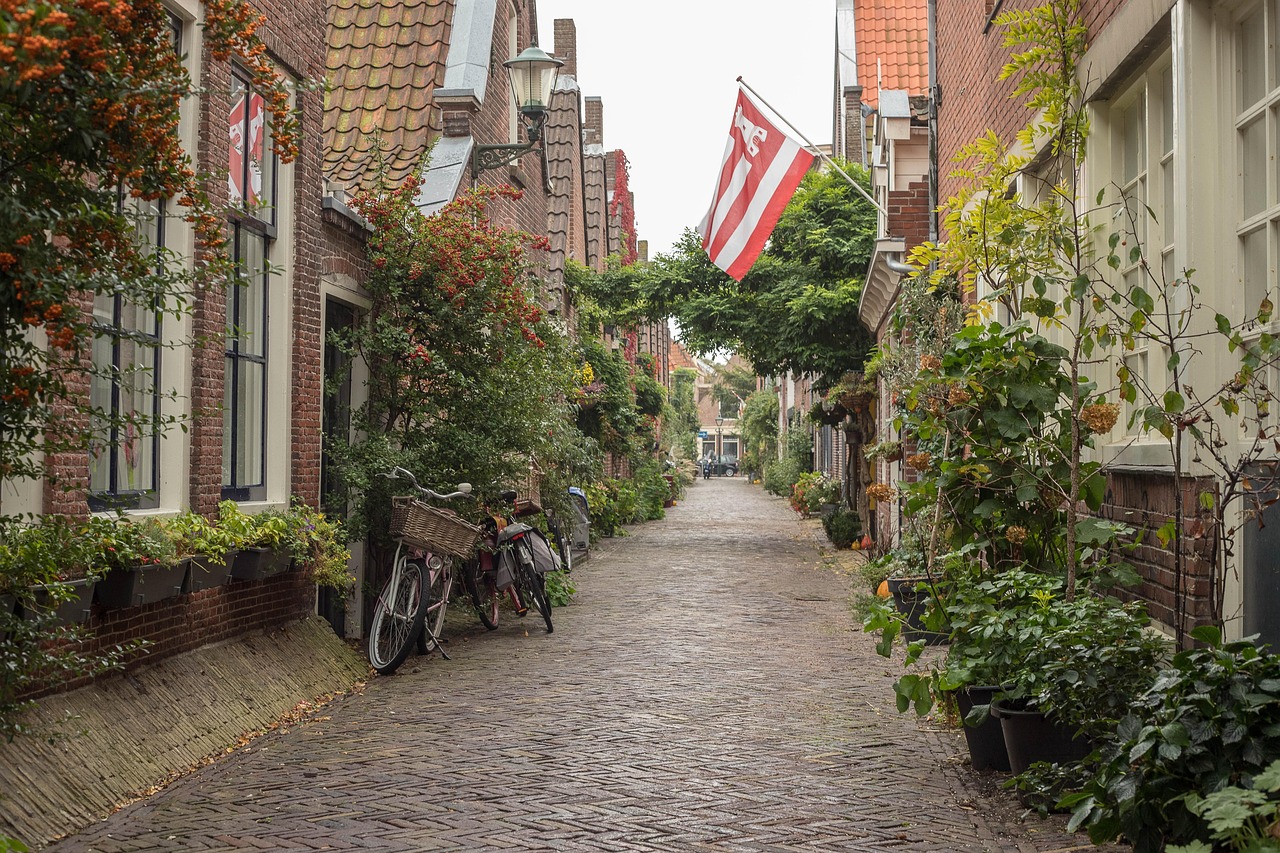 邯郸澜湾最新动态揭秘,城市新篇章的启幕