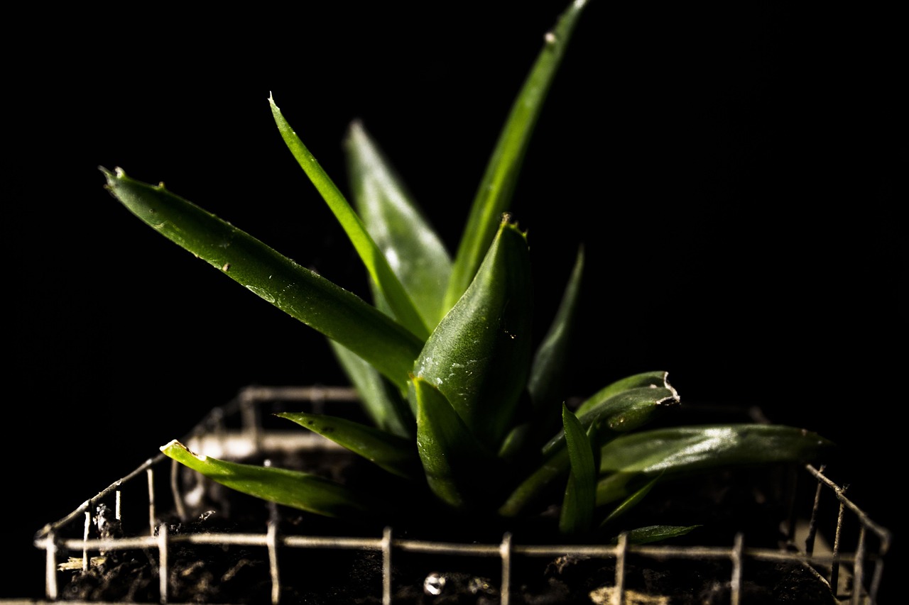 山西环保厅推动绿色转型,共建美丽山西的最新动态