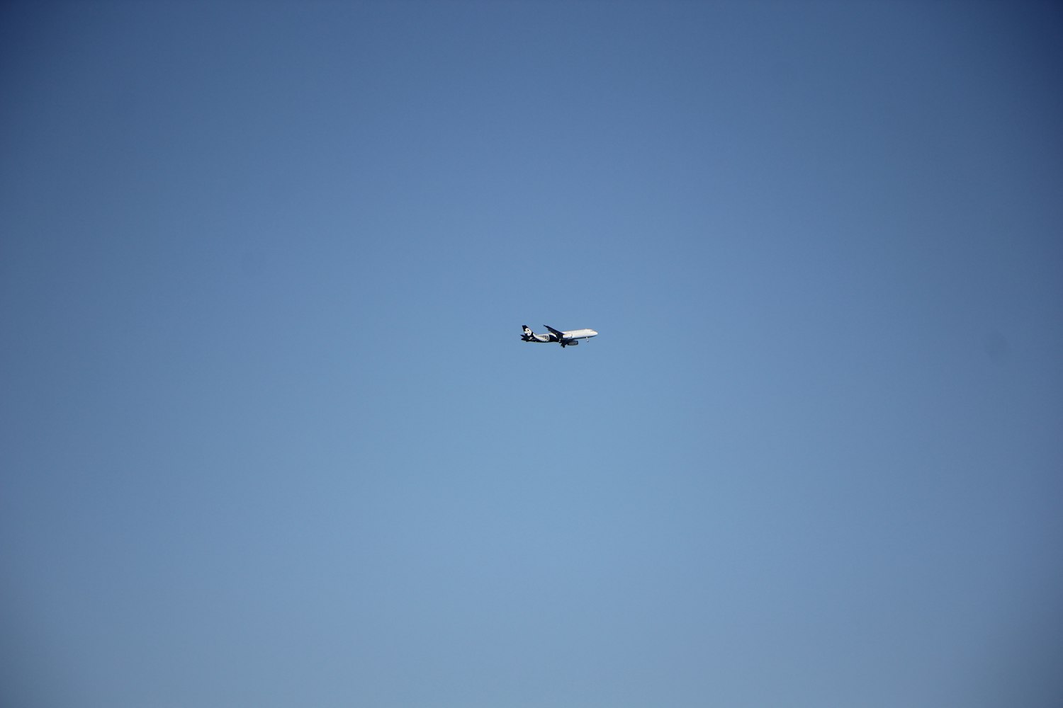 探索影像艺术魅力的最新毛片首页探索