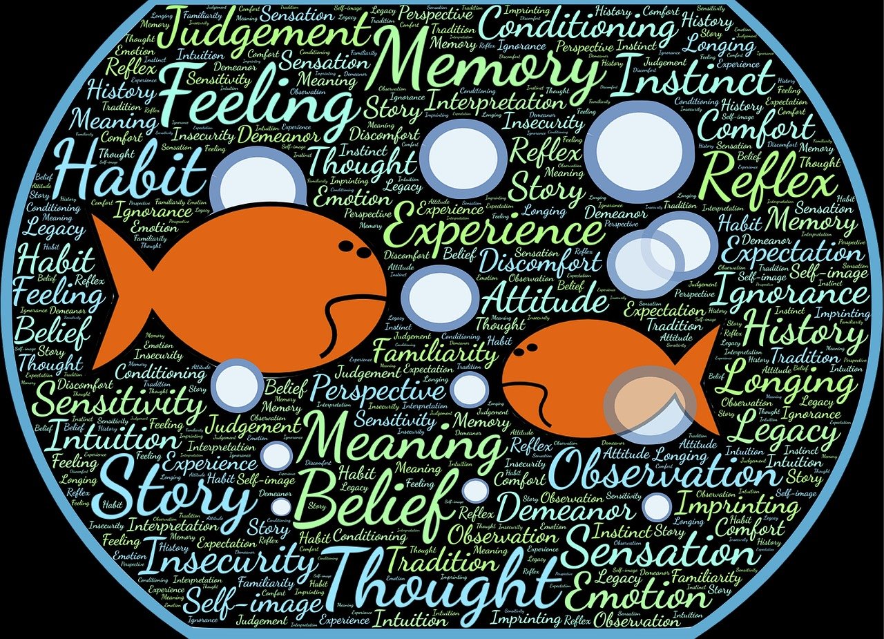 新闻联播最新一期,国内外形势及重要事件综述全面报道