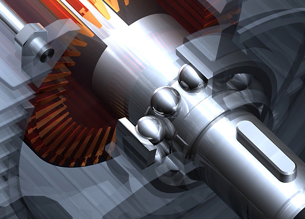 山东獭兔市场价格动态及分析,影响因素与市场走势探讨