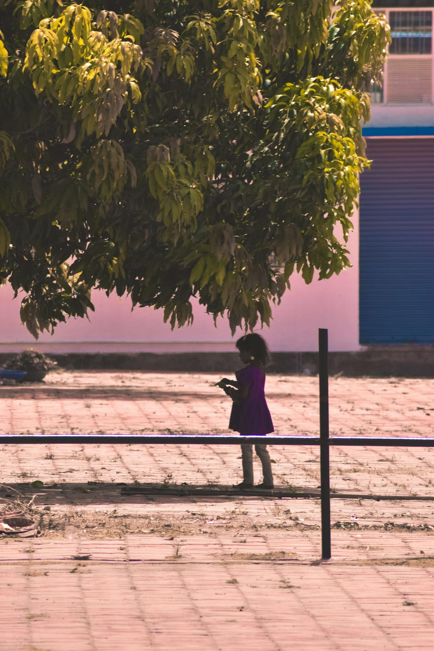印度与中国边境对峙最新动态,复杂局势下的挑战与应对策略