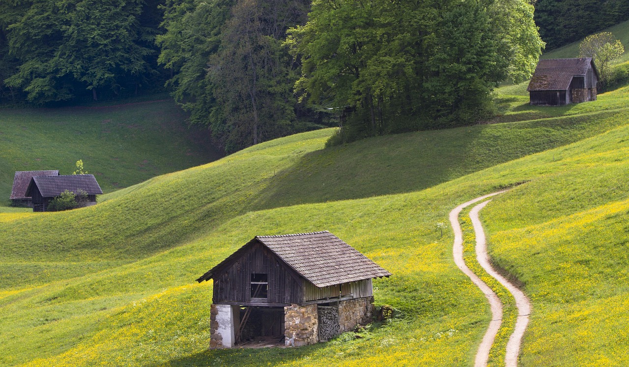 中国交建股票行情深度解析,聚焦601800股票动态