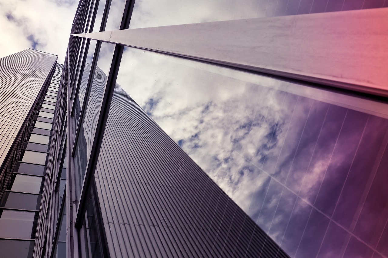 世界因皒而精彩 第3页