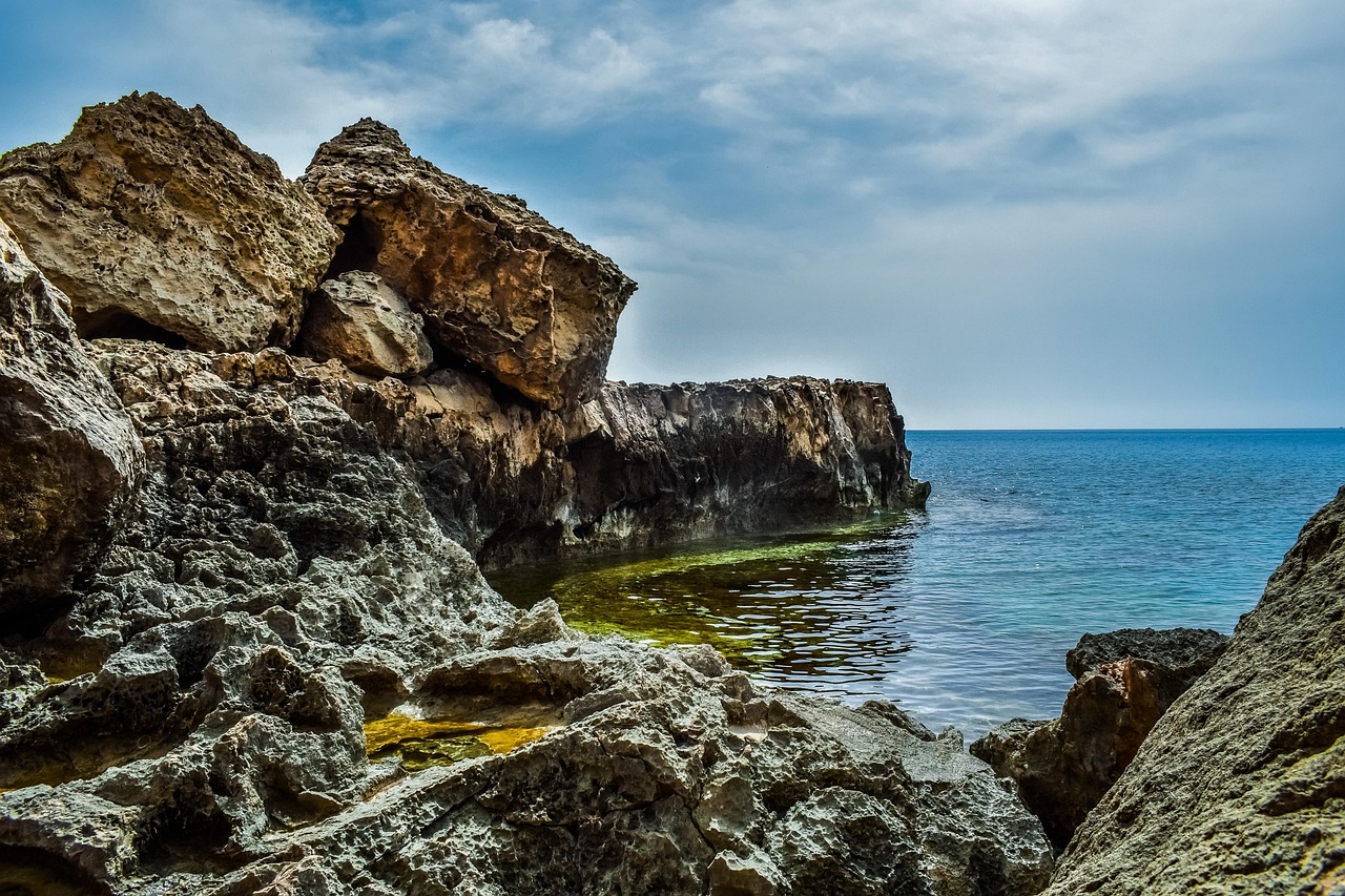 北京鸡蛋今日最新价格动态及市场走势分析