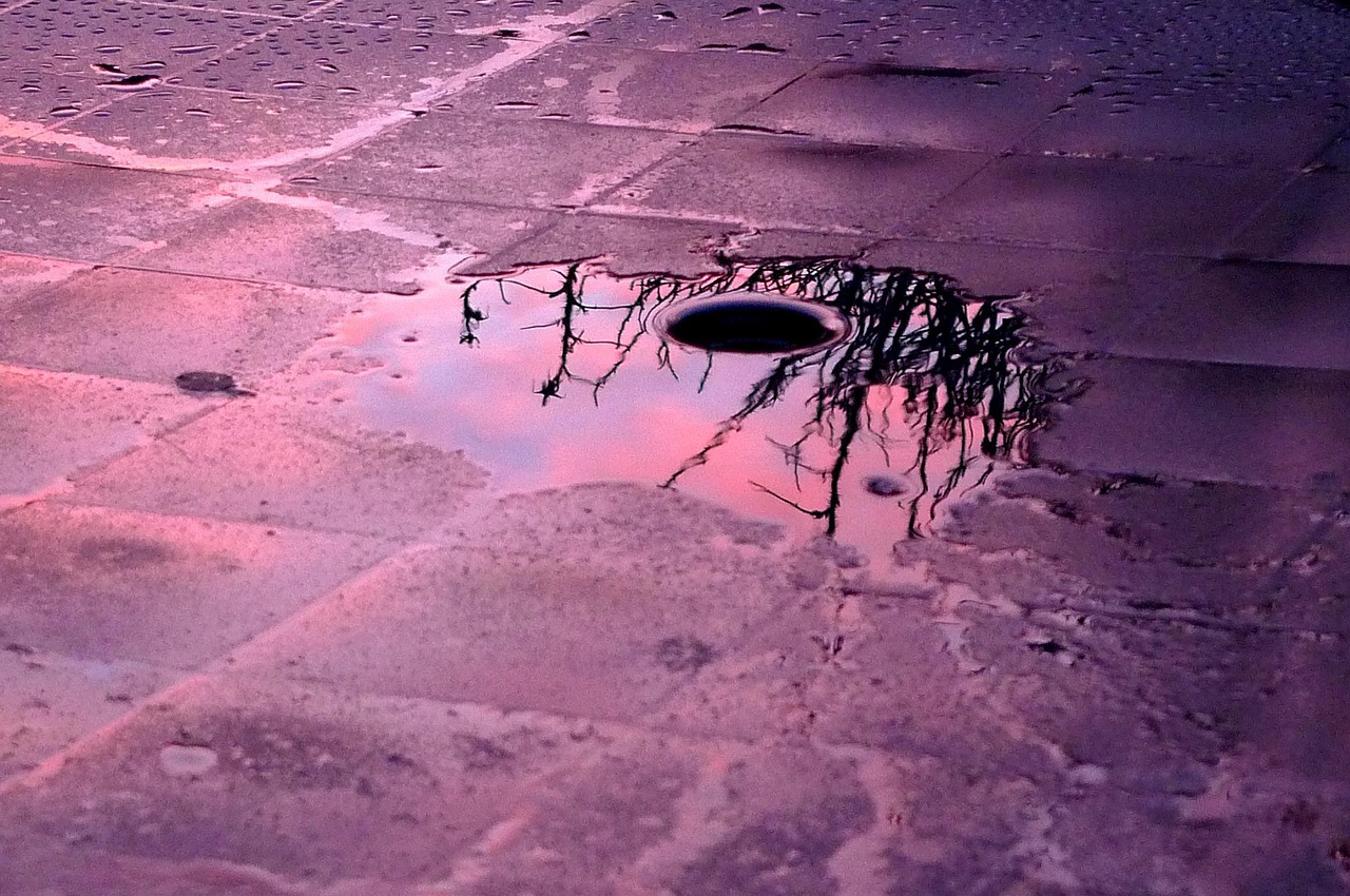 无节操摄影动漫,探索次文化中的艺术创新与探索