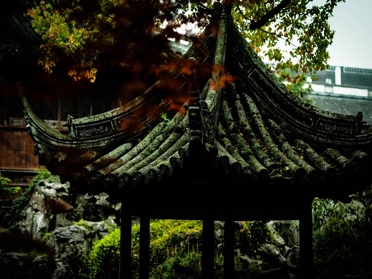 中华军事资讯速递,深度解析军事动态,展望国防未来发展