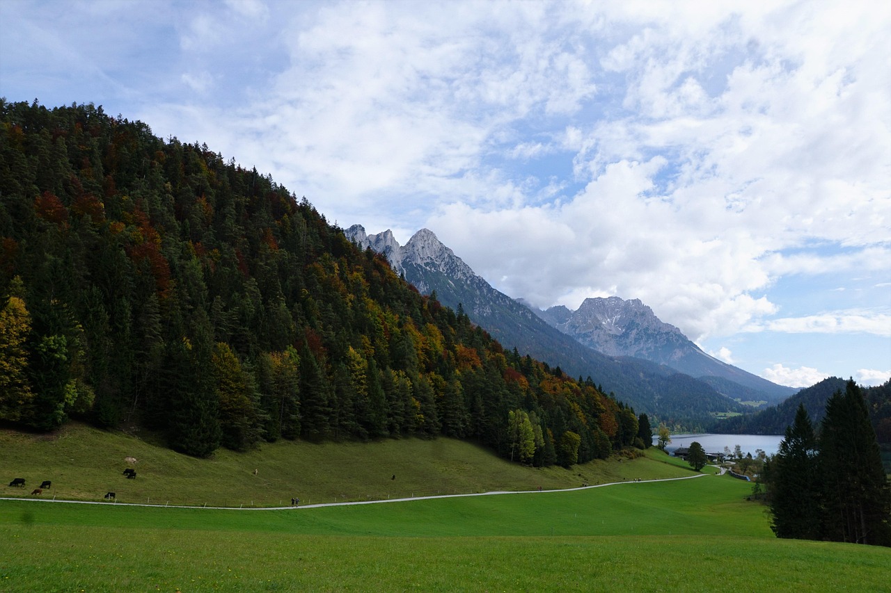 宝山湖资讯,自然美景与现代文明的完美交融