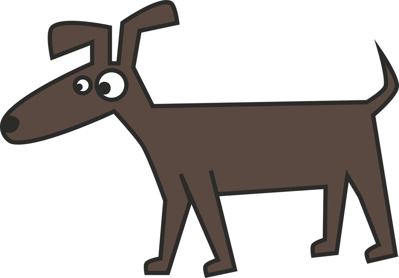 动漫人物眼睛画法指南,如何绘制迷人的动漫人物眼睛