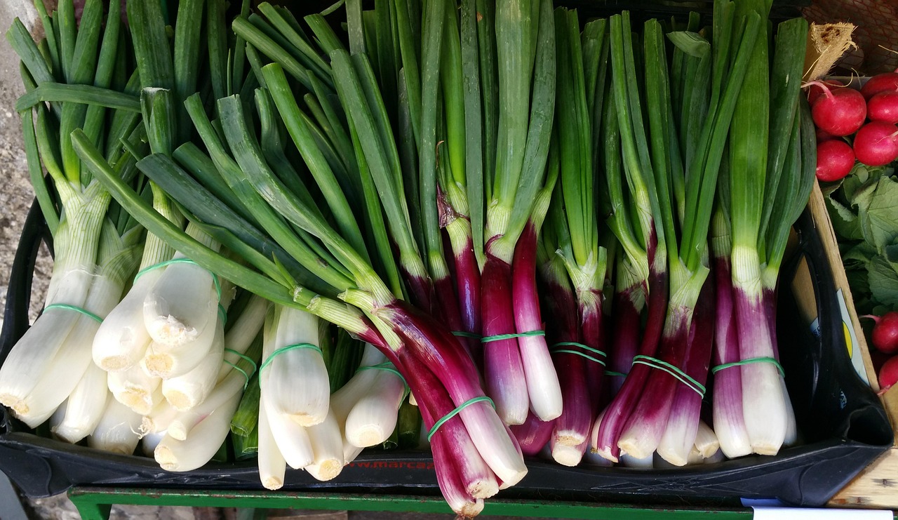 金钱草价格分析及市场行情解读,一斤究竟多少钱?