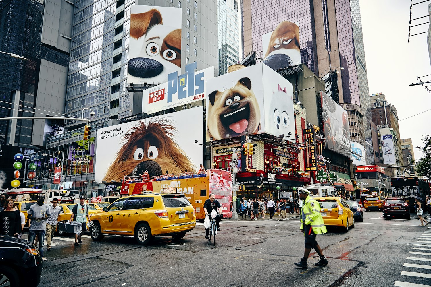 沧州建工凤凰城最新动态揭秘,新时代城市面貌展望