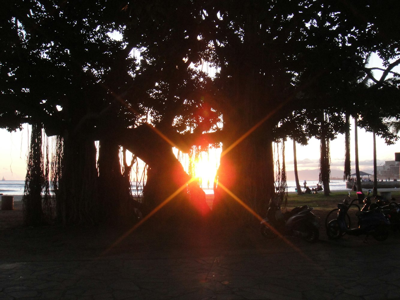 QQ动漫情侣头像,情感连结与个性表达的最佳选择