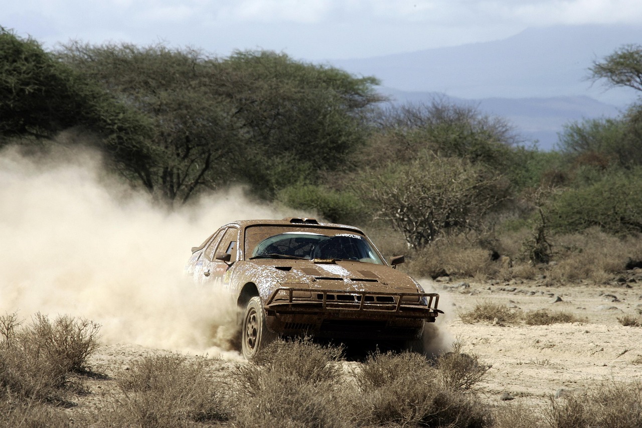 双人雪车比赛,速度与激情的较量对决