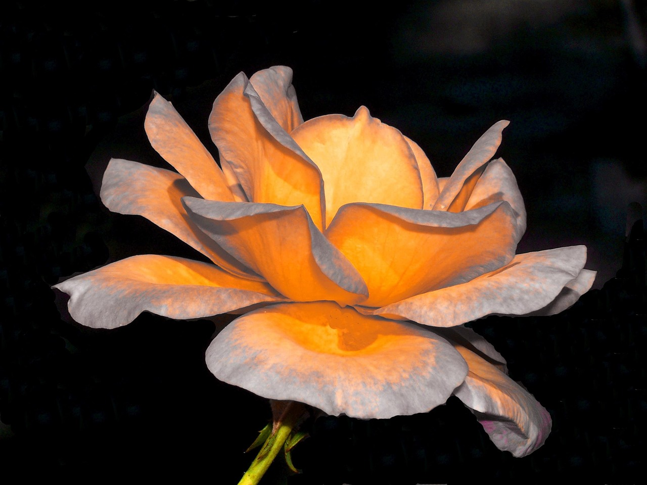 深度解析,关于902路公交路线更新调整的最新动态