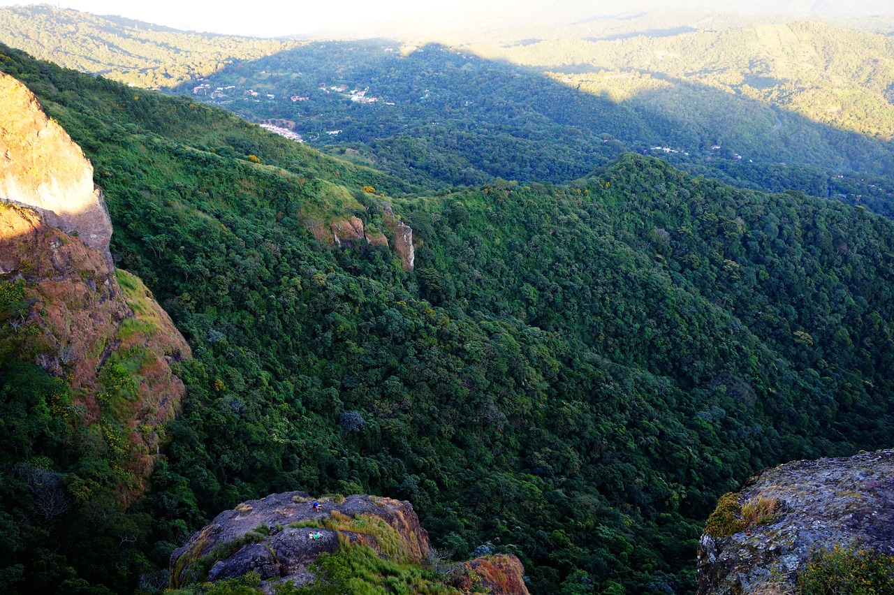 茴菿原点 第3页