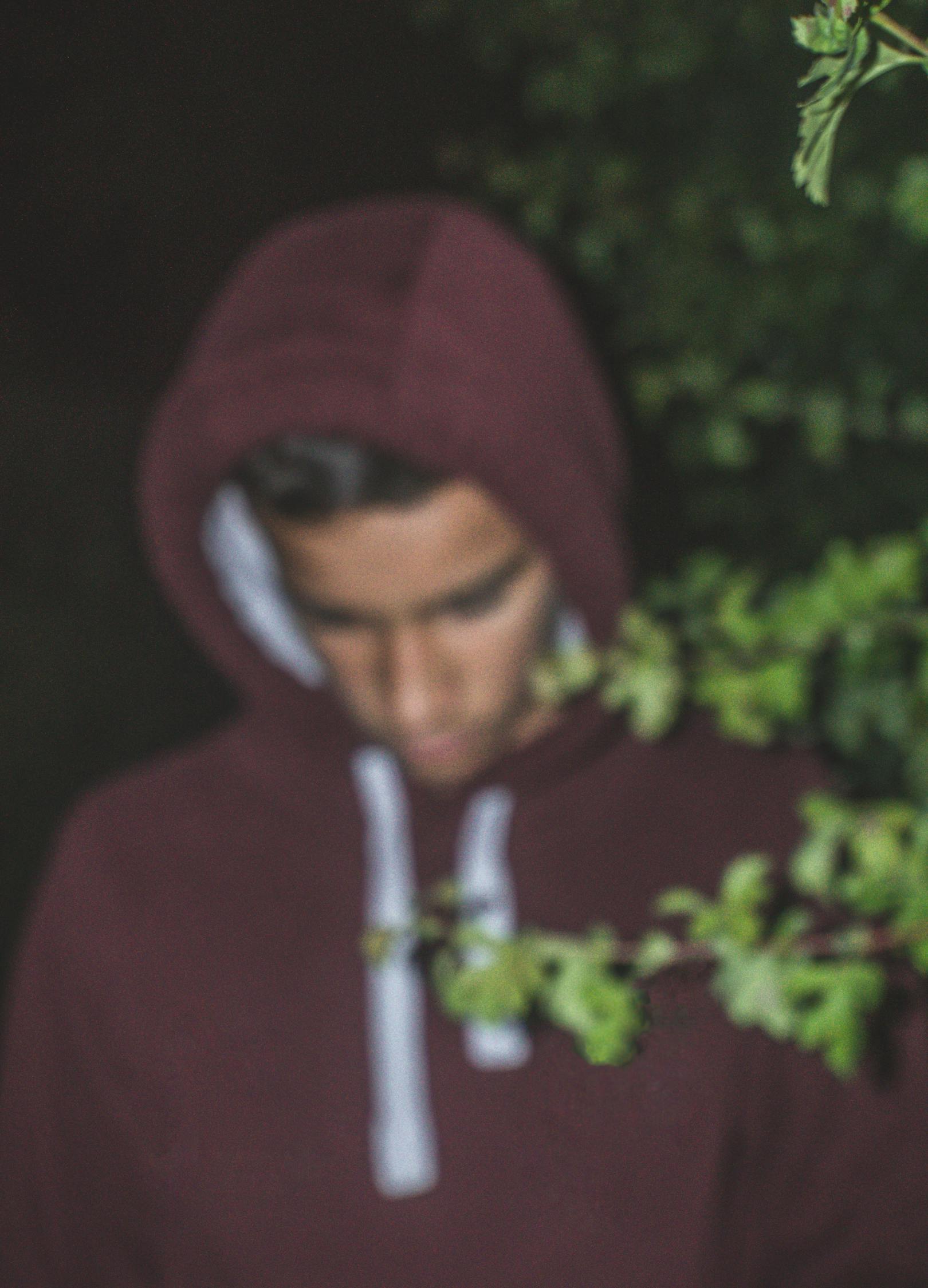 五十度飞电影,探索人性与爱情的交织世界