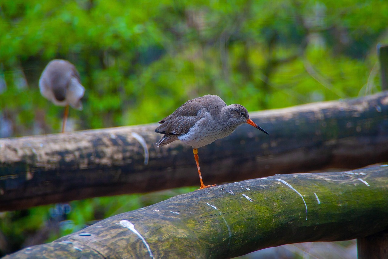中国疫情最新动态,全面应对与积极进展的最新报告