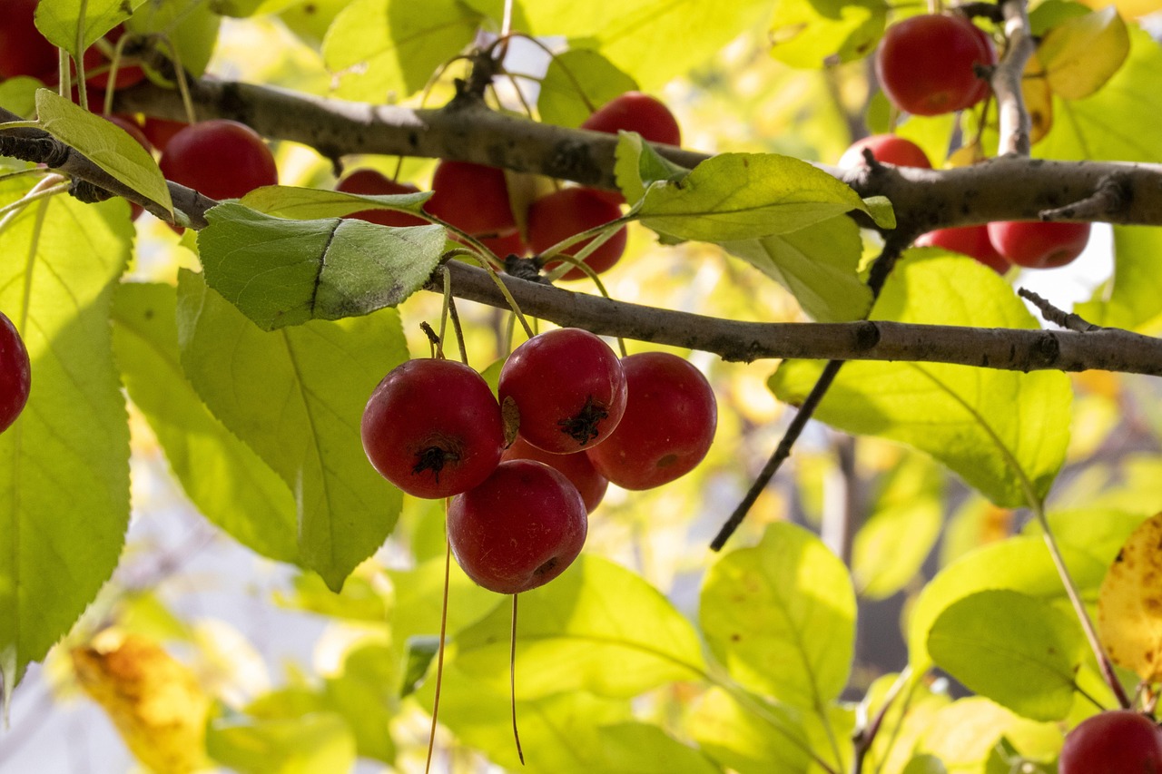 最新评级揭晓,揭示各领域新动态与影响力