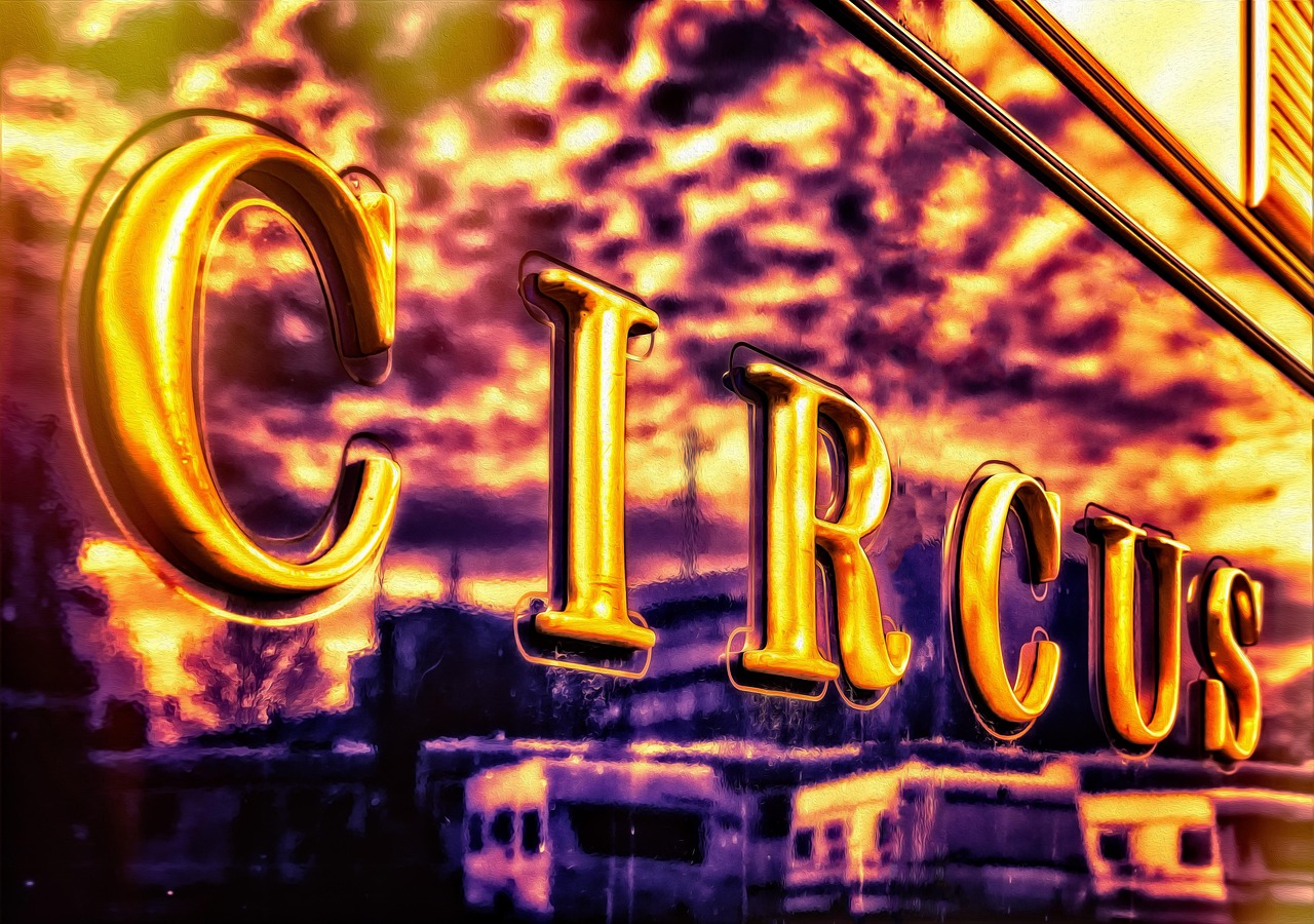 重生电视台传奇经营之旅