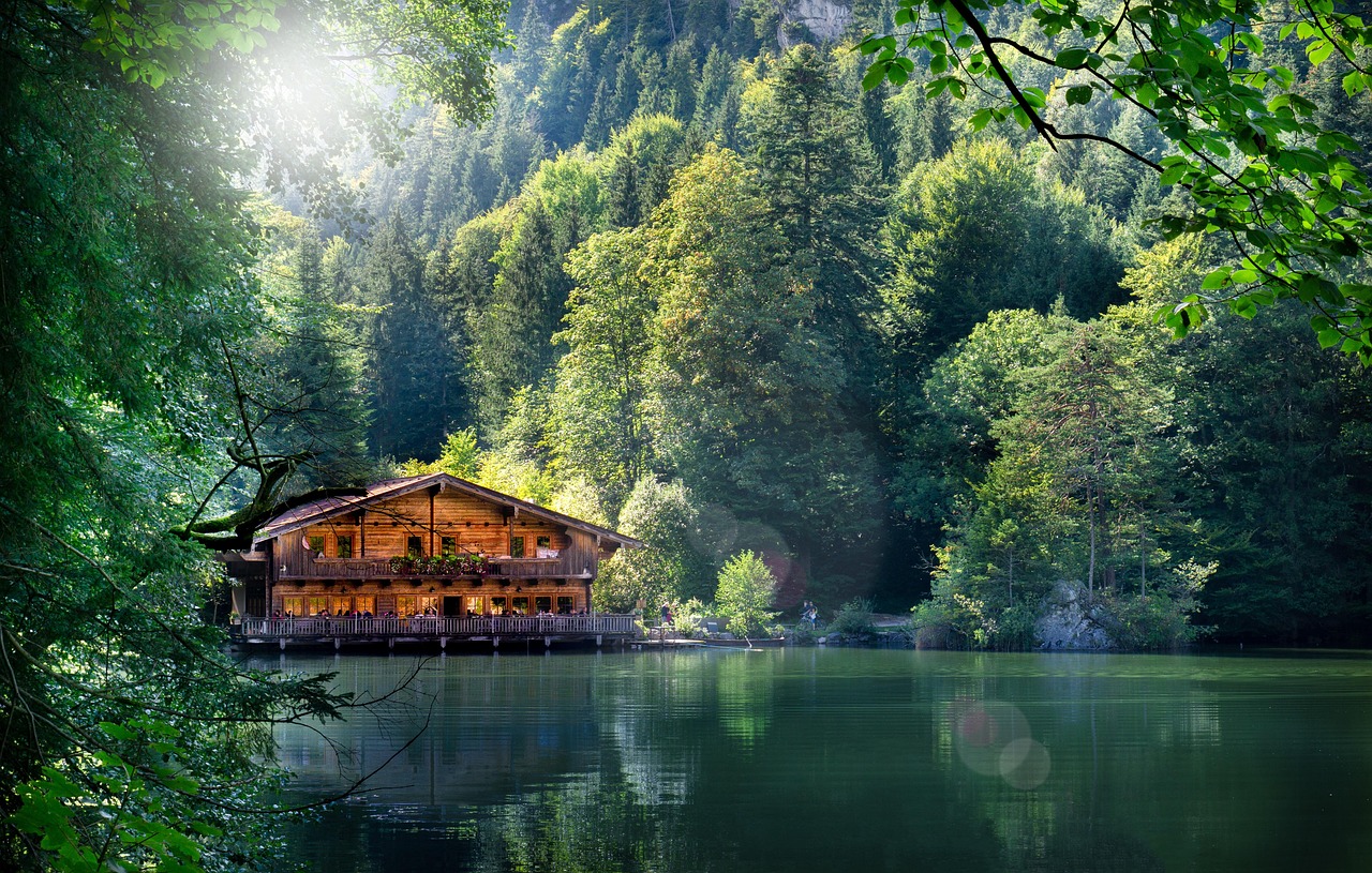 宜阳最新资讯概览,时事动态全掌握