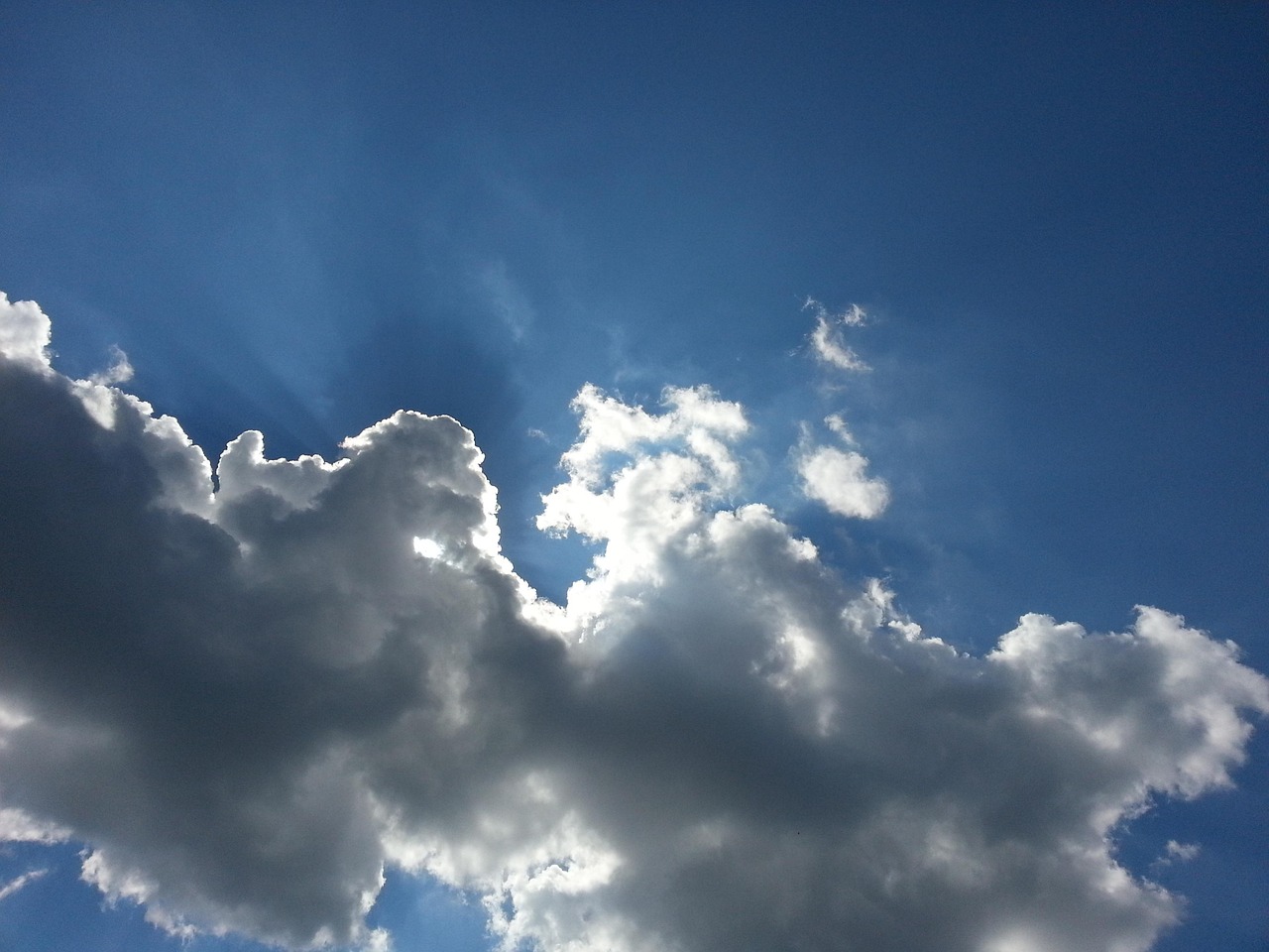 Mini最新报价及市场新动态深度解析