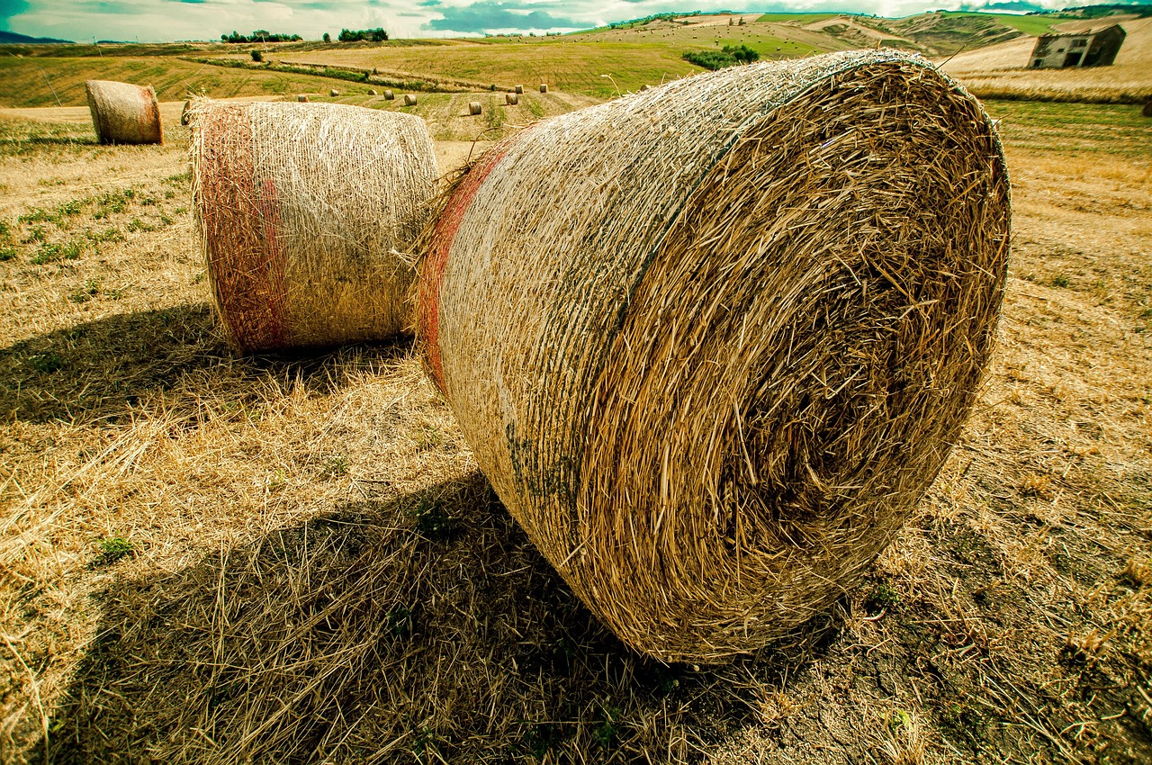 荣华实业引领行业变革,铸就企业辉煌的最新动态