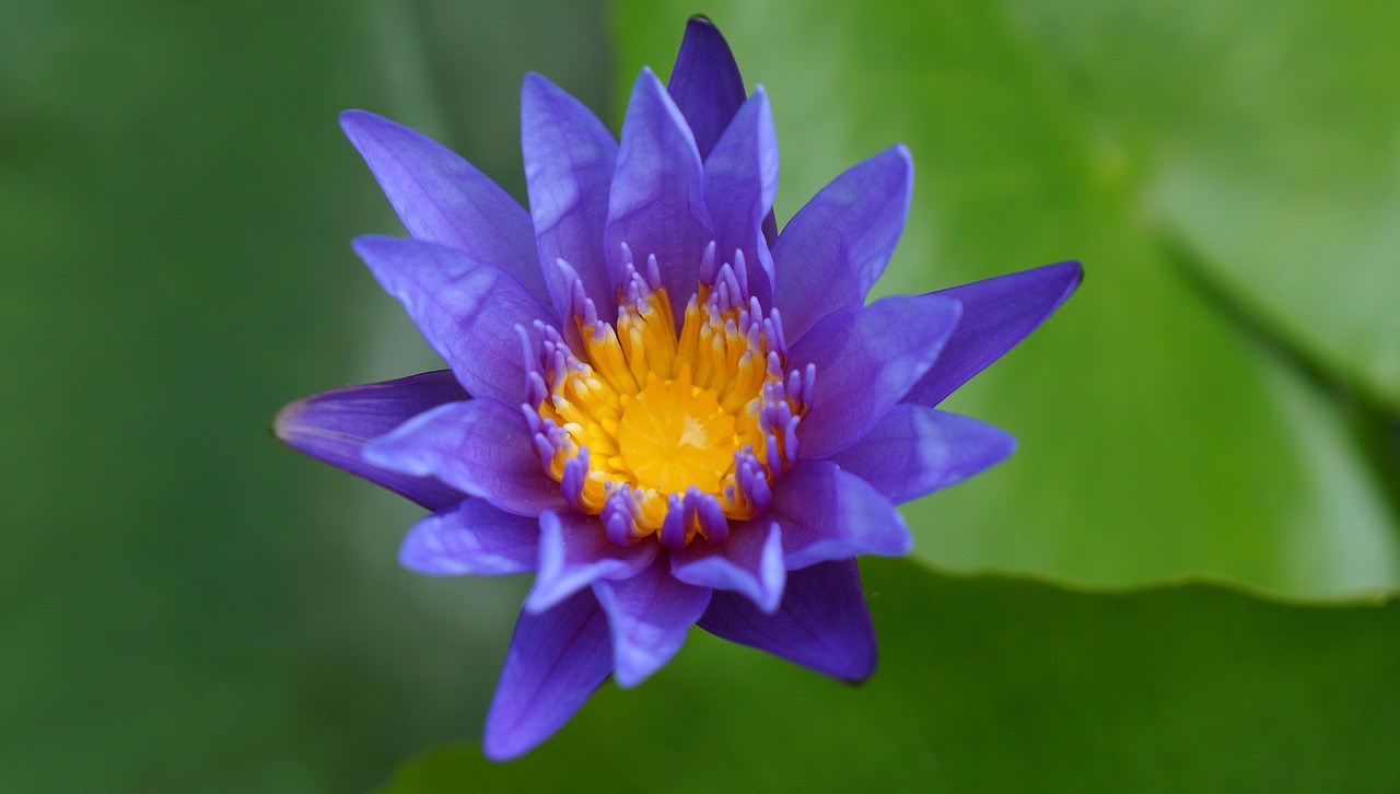 海湾雨林近期房价动态,区域房价走势分析