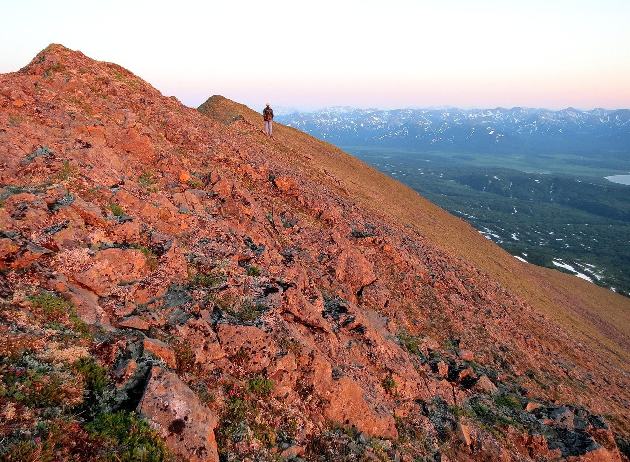 海湾雨林近期房价动态,区域房价走势分析