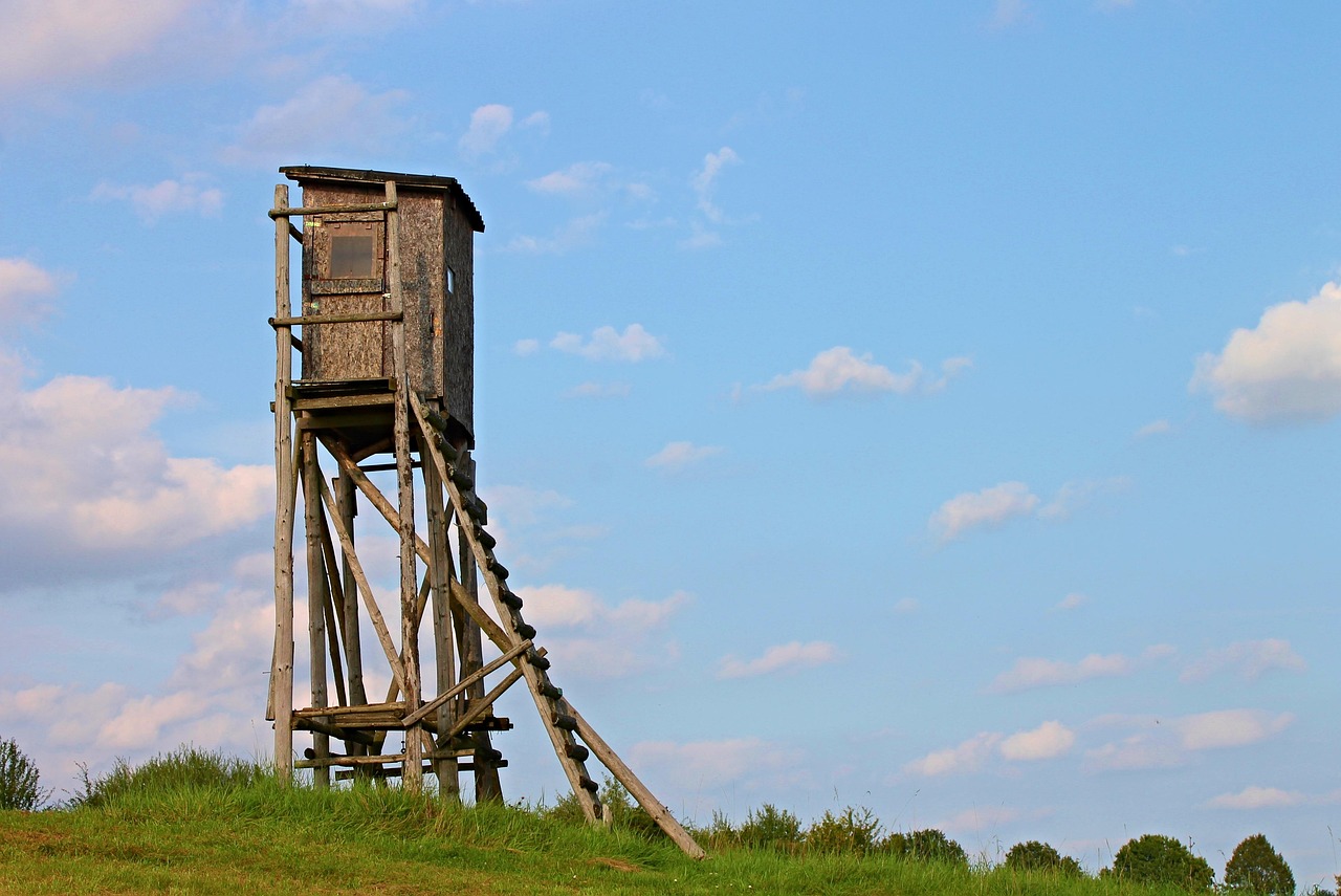 怪物猎人电影,热血狩猎之旅的震撼视觉盛宴