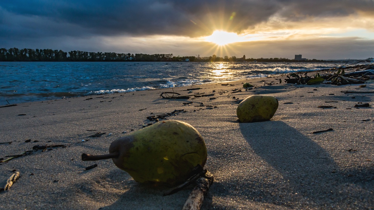 桂林市门面出租最新动态更新