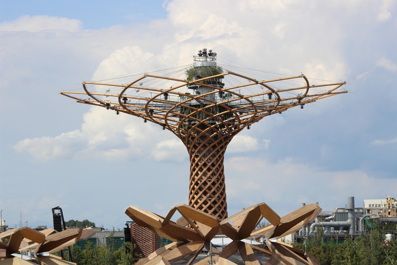 许妈最新动态,展现生活新篇章风采