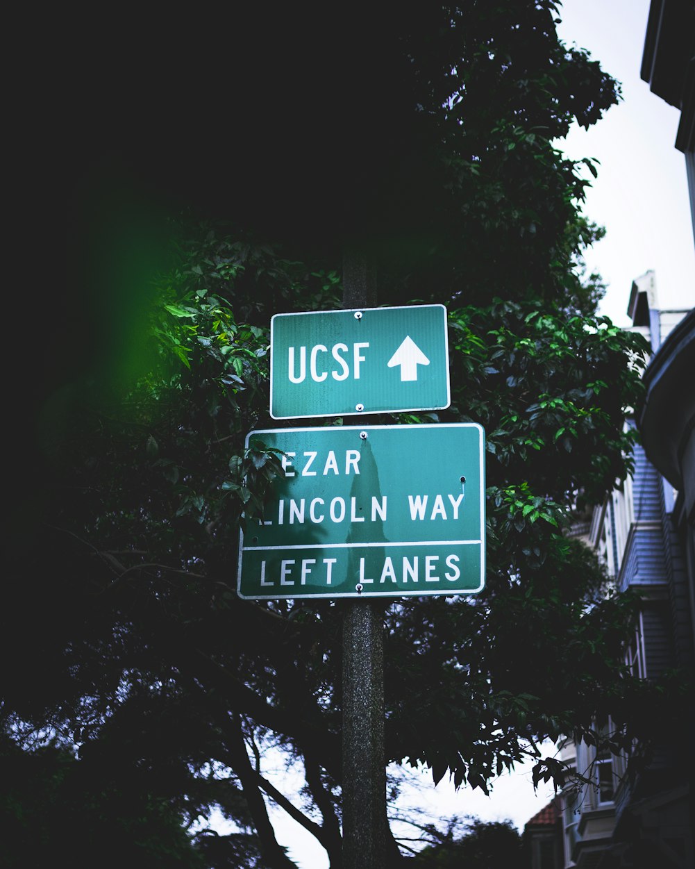 最新野战门图片展示,揭示现代军事建筑的魅力与功能