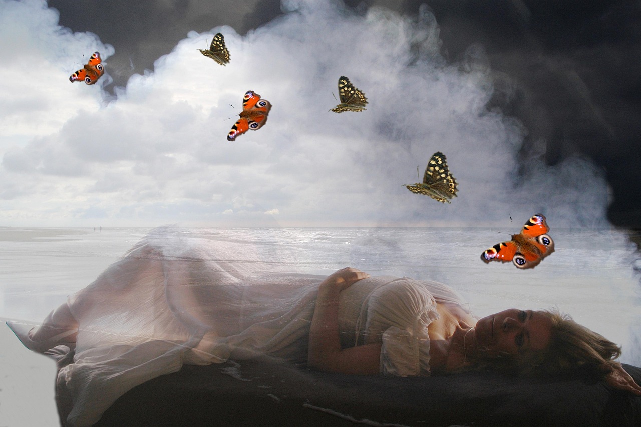 扬中人才市场最新招聘动态深度解析及招聘资讯速递