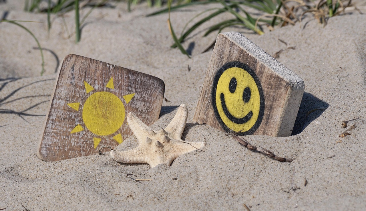 榆林煤炭最新价格动态及市场走势分析,影响因素深度解读