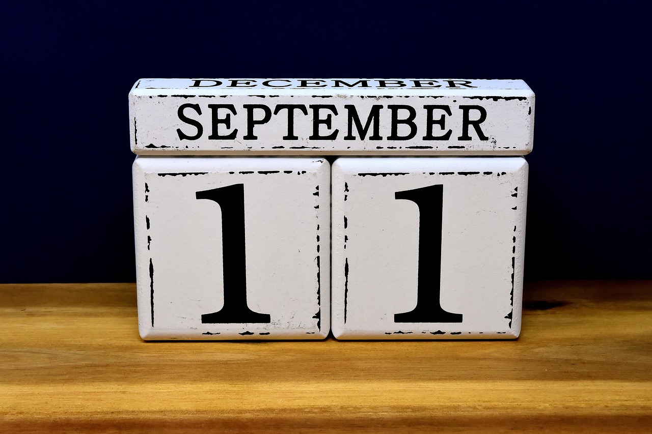 WTO最新动态,全球贸易格局的新变化与挑战