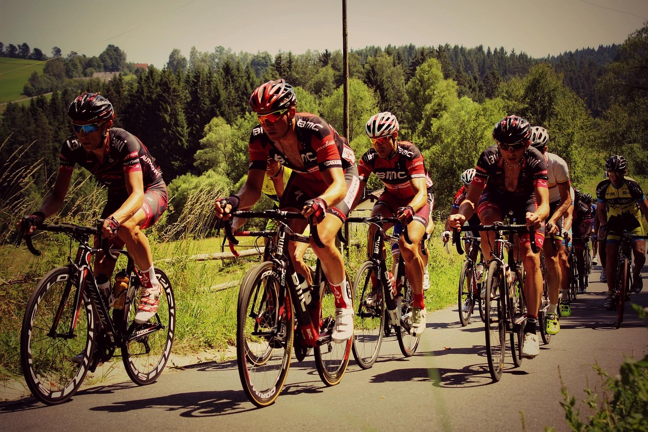 最新佛期资讯,2017年动态概览