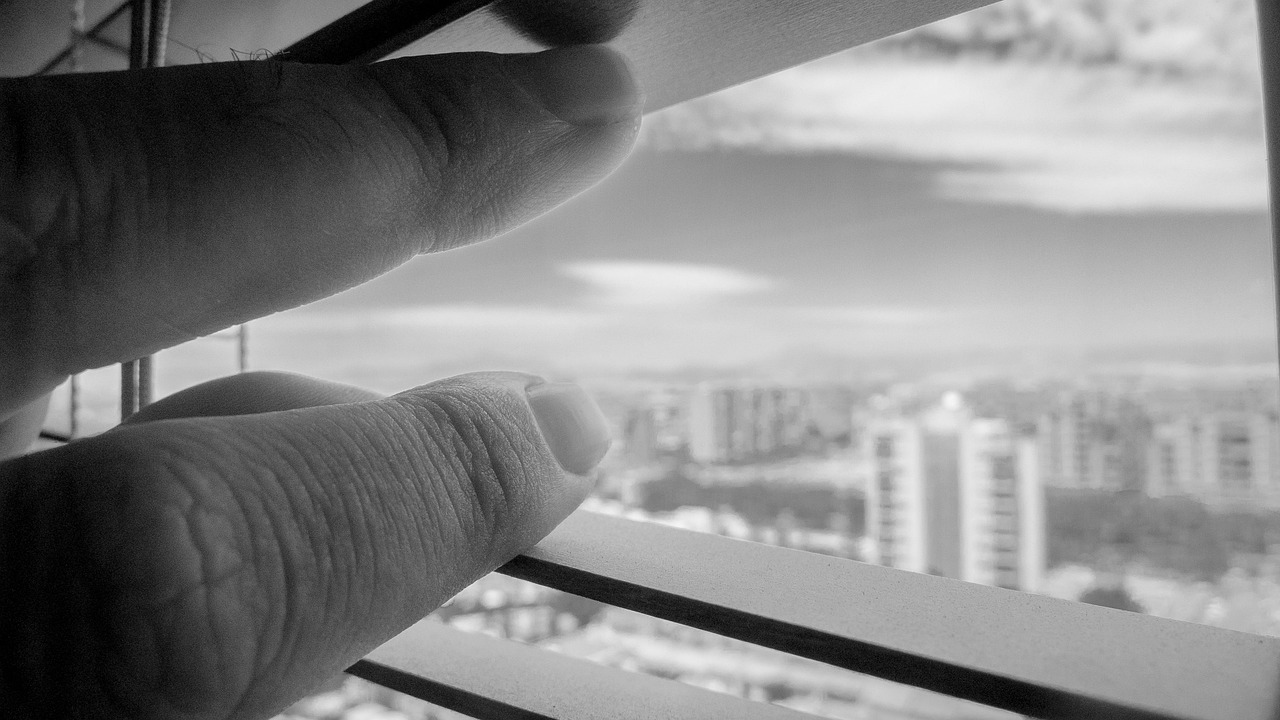 常平最新房产价格及动态分析概览