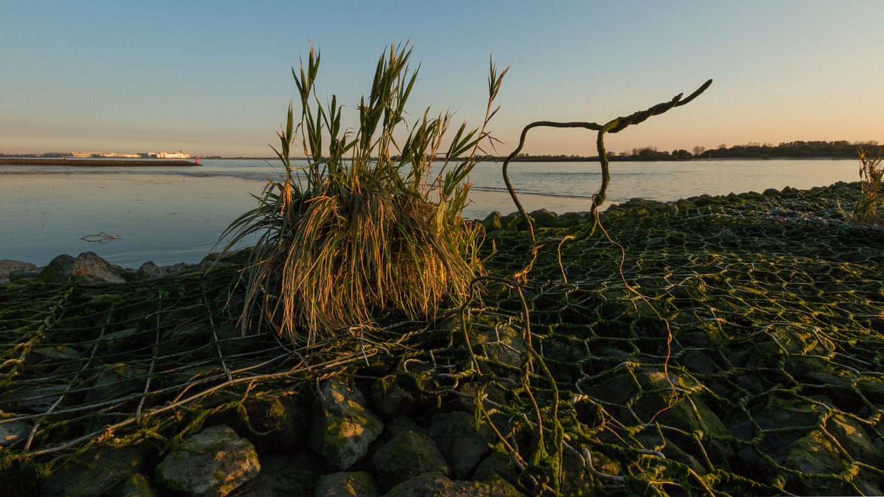 莱芜北部新城蓬勃发展新篇章,最新动态揭秘城市新面貌