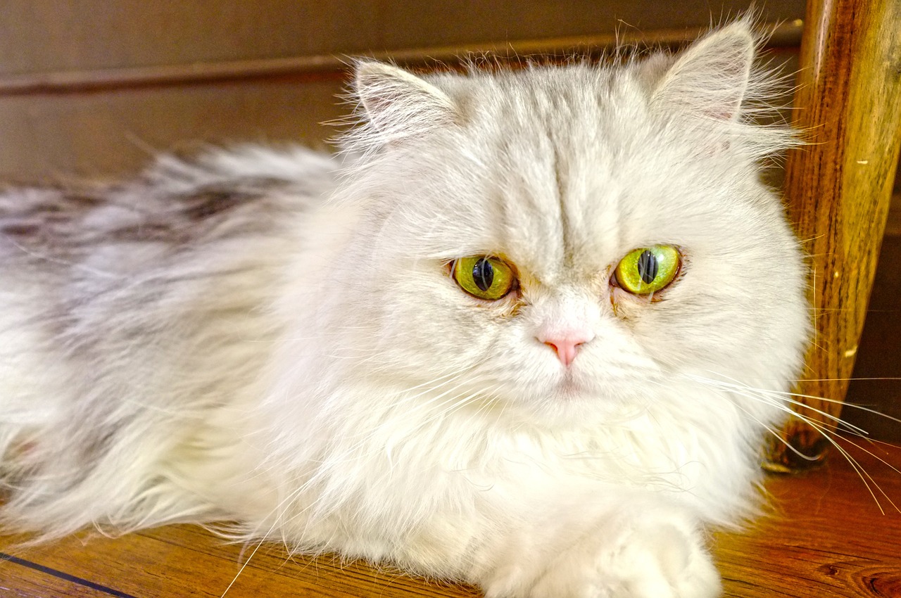 双眼皮手术详解,割双眼皮与埋线价格因素解析